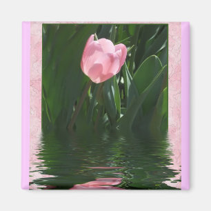 Pretty Pink Tulip Magnet