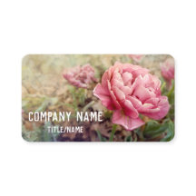 pretty pink tulips flower garden nature custom