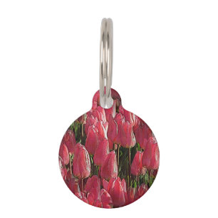 Pretty Pink Tulips Pet Tag
