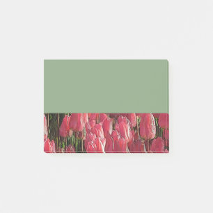Pretty Pink Tulips Post-it Notes