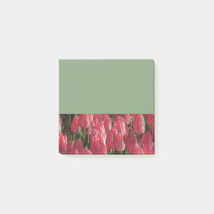 Pretty Pink Tulips Post-it Notes