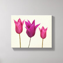 Pretty pink tulips simple floral stylish classy