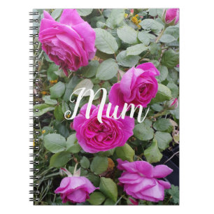 Pretty Pink Vintage Rose Flower Birthday Mum Mug Notebook