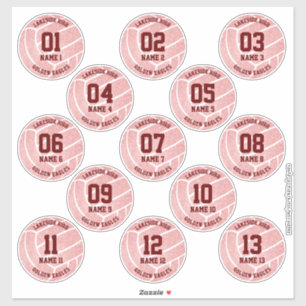 pretty pink volleyball sports themed celebration