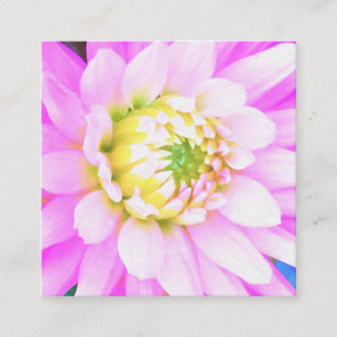 Pretty Pink, White and Yellow Cactus Dahlia Macro Square Business Card