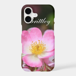 Pretty pink wild rose flower. Add your name.