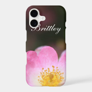 Pretty pink wild rose flower. Add your name.