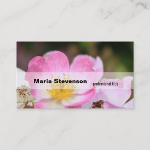pretty pink wild rose flower professional business card