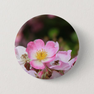 pretty pink wild rose flowers for ladies 6 cm round badge