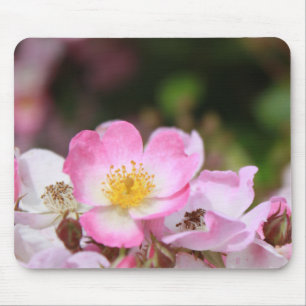pretty pink wild rose flowers for ladies mouse mat