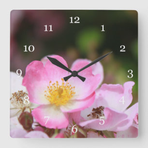 pretty pink wild rose flowers for ladies square wall clock