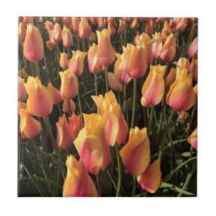Pretty Pink & Yellow Tulips Tile