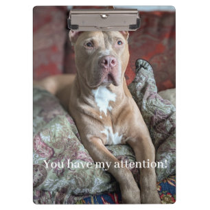 Pretty Pit Bull Clipboard
