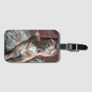 Pretty Pit Bull Luggage Tag