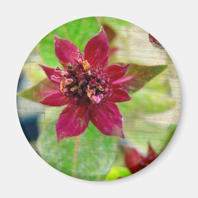 Pretty Plant 2 Magnet (Front)