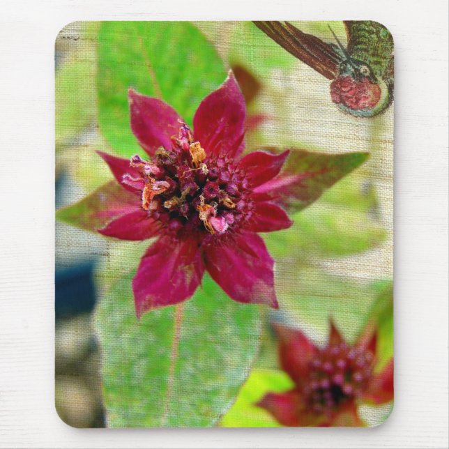 Pretty Plant 2 Mouse Mat (Front)