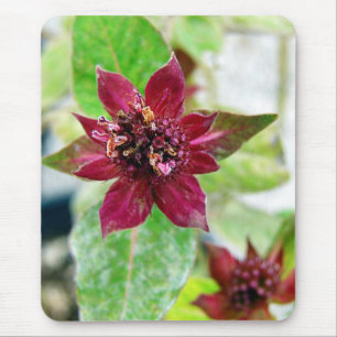Pretty Plant Mouse Mat