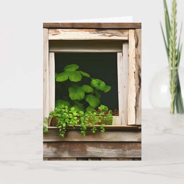 Pretty Plants in Rustic Window Birthday  Card (Front)