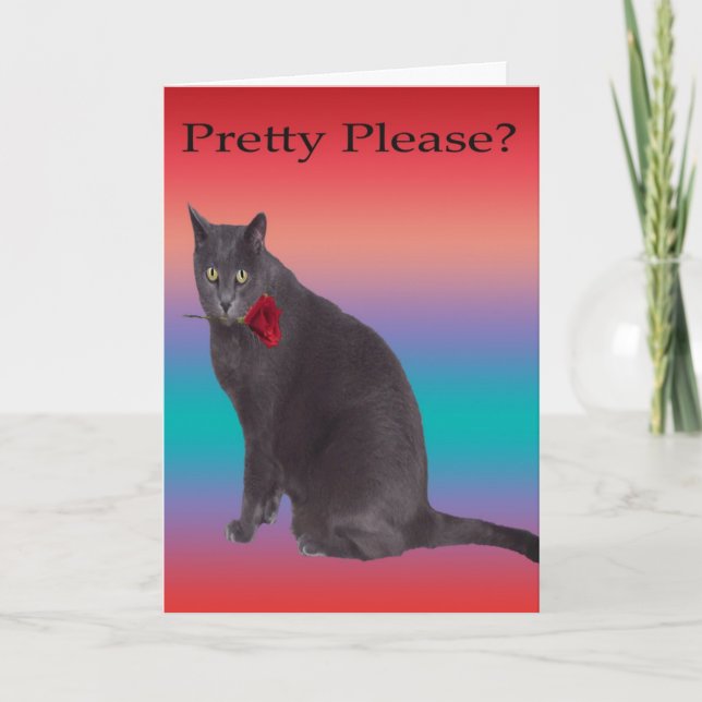 Pretty Please Holiday Card (Front)