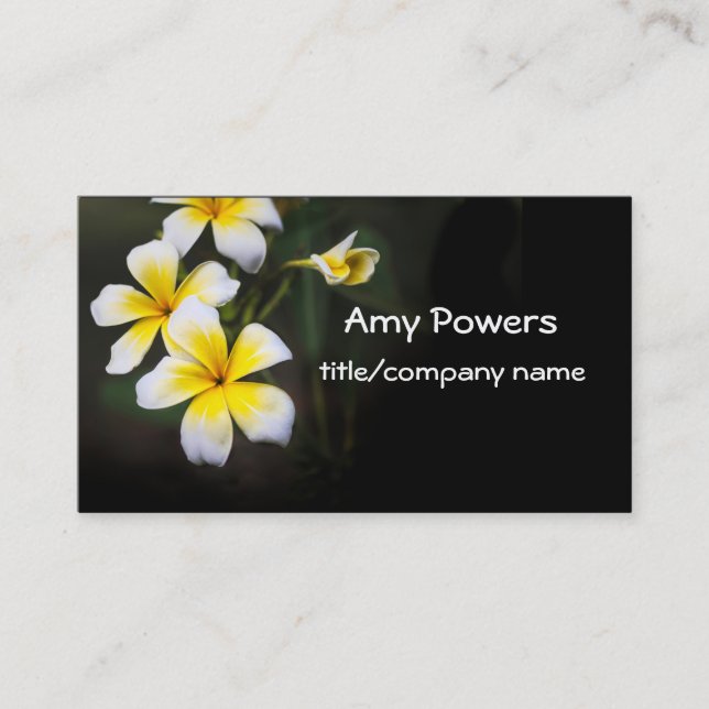 pretty Plumeria blooms flower photography Business Card (Front)