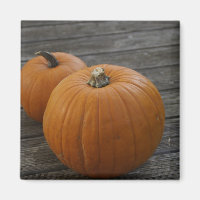 Pretty Plump Pumpkins