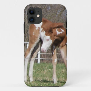 Pretty Pony iPhone 11 Case