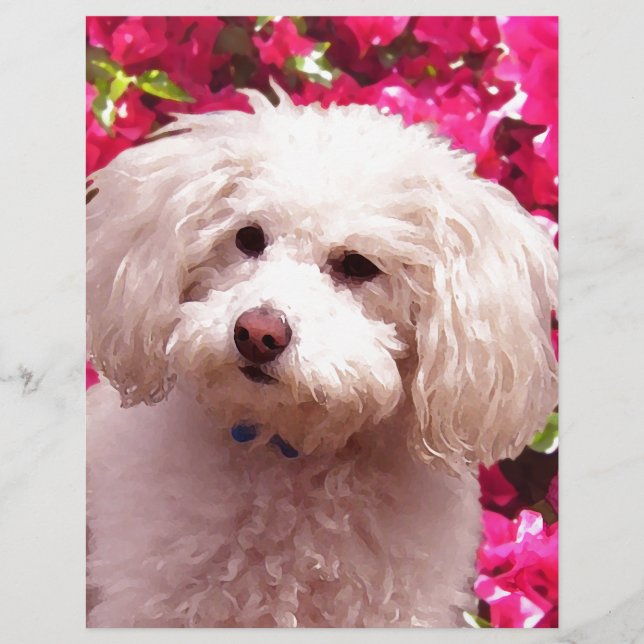 Pretty Poodle (Front)