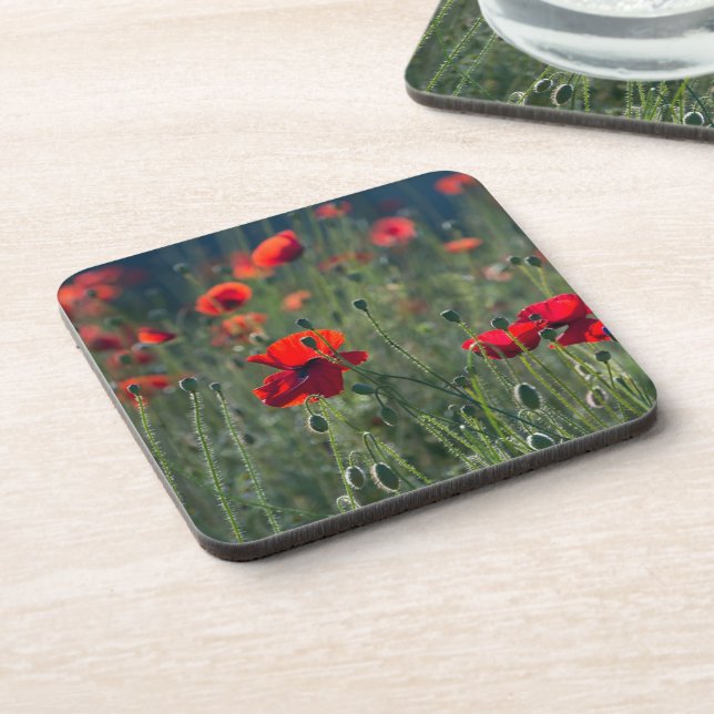 Pretty Poppies in Wild Meadow Photo Coaster (Left Side)
