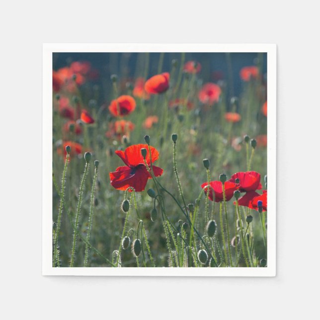 Pretty Poppies in Wild Meadow Photo Napkin (Front)