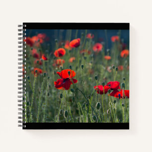 Pretty Poppies in Wild Meadow Photo Notebook