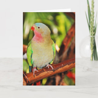 Pretty princess parakeet greeting card