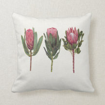 Pretty Protea Pillow