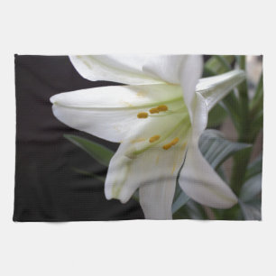 Pretty, pure white Easter lily flower in black Tea Towel