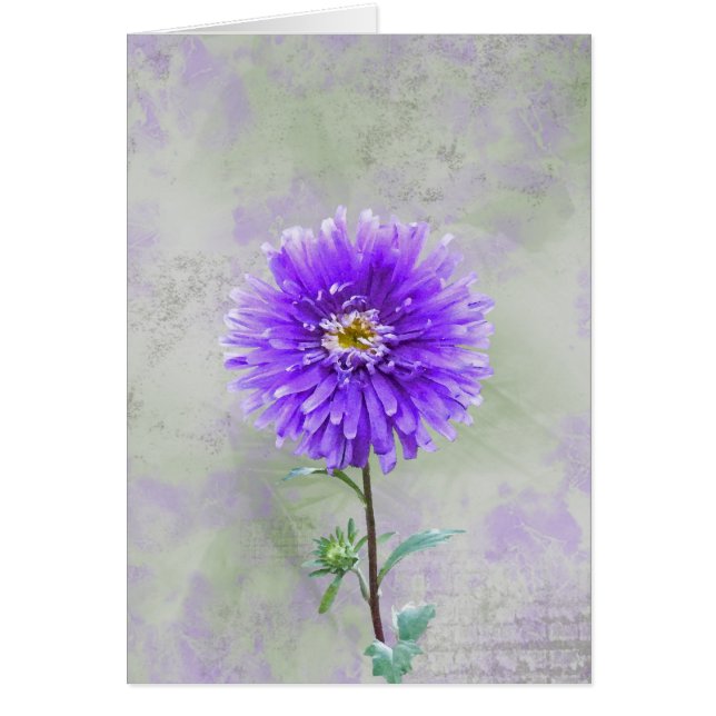 Pretty Purple (Front)