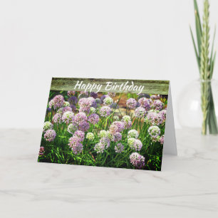 Pretty Purple Allium Garden Flowers Birthday Card