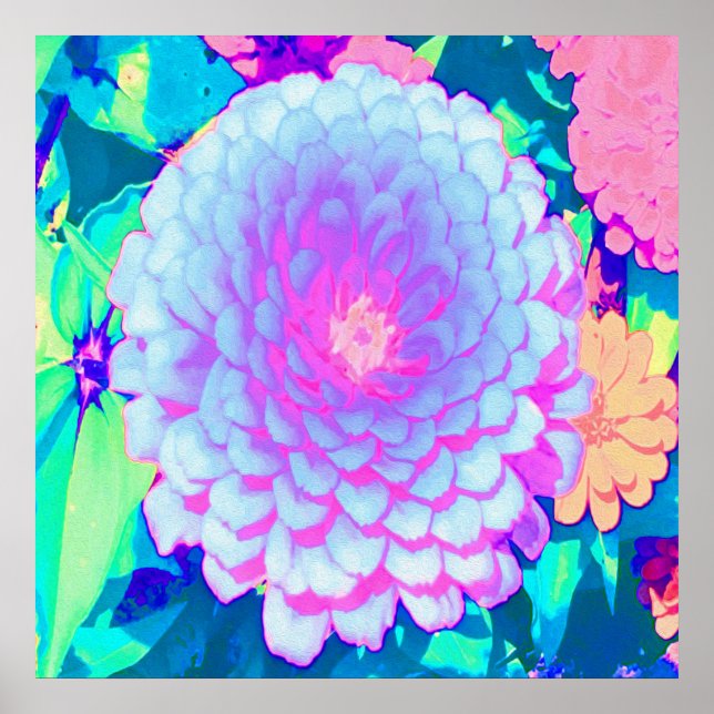 Pretty Purple and Pink Zinnia in the Summer Garden Poster (Front)