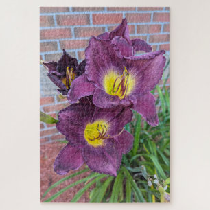 Pretty Purple Day Lilies Jigsaw Puzzle