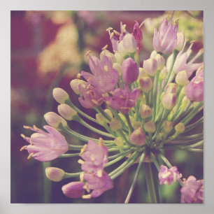 Pretty Purple Flower Poster