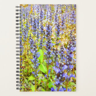 Pretty Purple Flowers Field Planner
