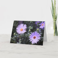 Pretty Purple Flowers Original Garden Photography