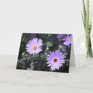 Pretty Purple Flowers Original Garden Photography Card