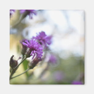 Pretty Purple Flowers Original Garden Photography Magnet