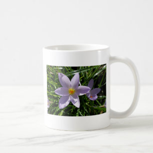 Pretty purple garden flower. 美丽的紫色花 coffee mug