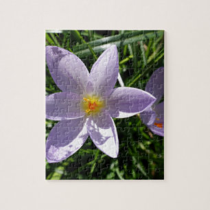 Pretty purple garden flower. 美丽的紫色花 jigsaw puzzle