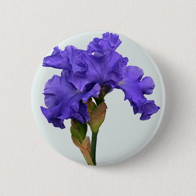 Pretty Purple Iris Floral Photo 6 Cm Round Badge (Front)