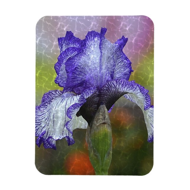 Pretty Purple Iris Magnet (Vertical)