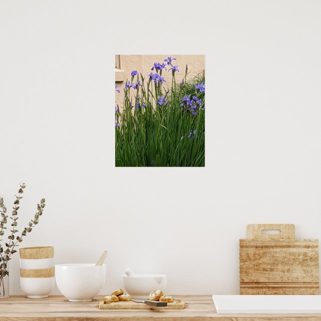 Pretty Purple Irises Floral Poster (Kitchen)
