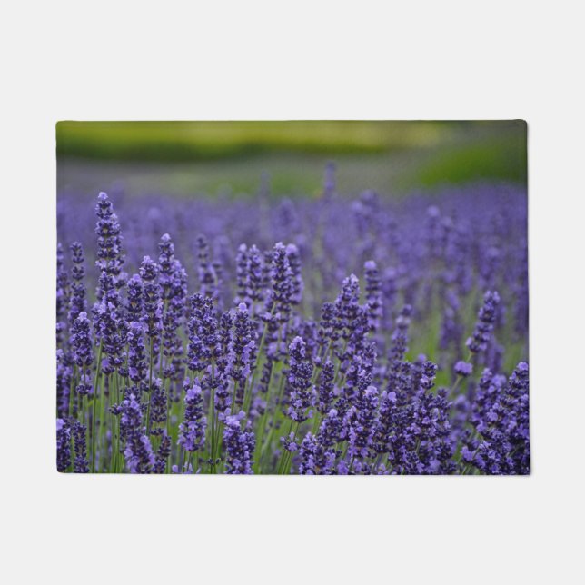 Pretty purple lavendar flowers doormat (Front)