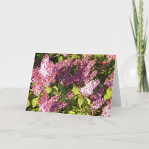Pretty Purple Lilacs Greeting Card