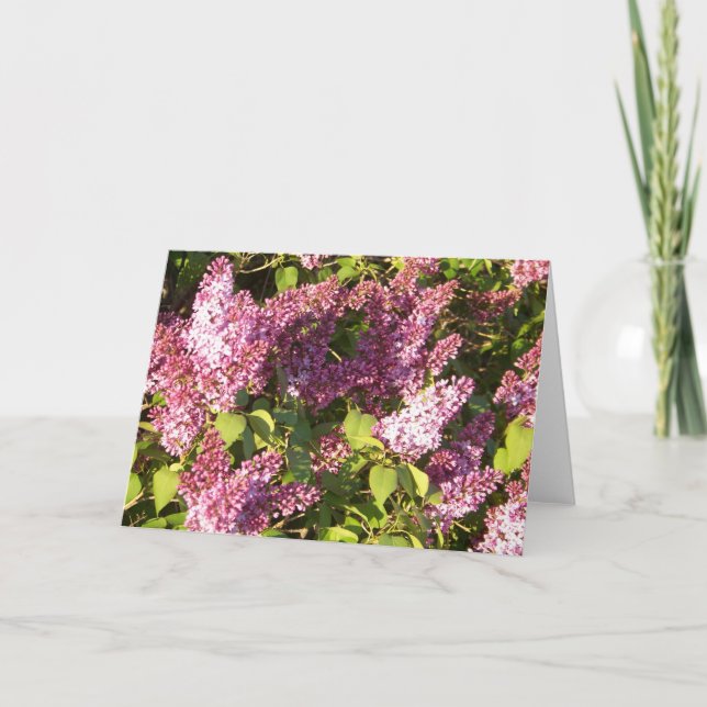 Pretty Purple Lilacs Greeting Card (Front)